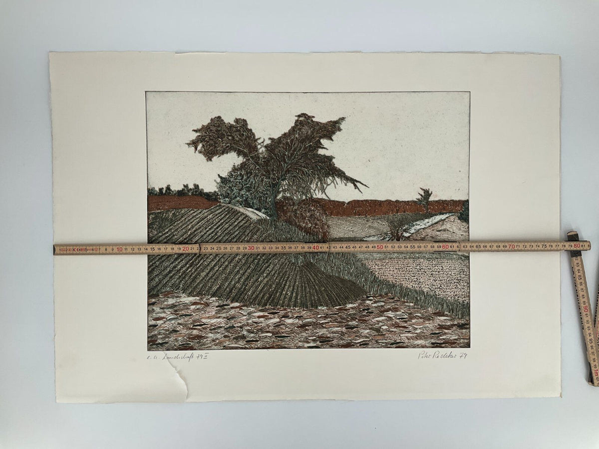 * RADIERUNG PETER REDEKE DRUCK AQUATINTA FARBIG LANDSCHAFT 79 III 1979 KUNSTWERK