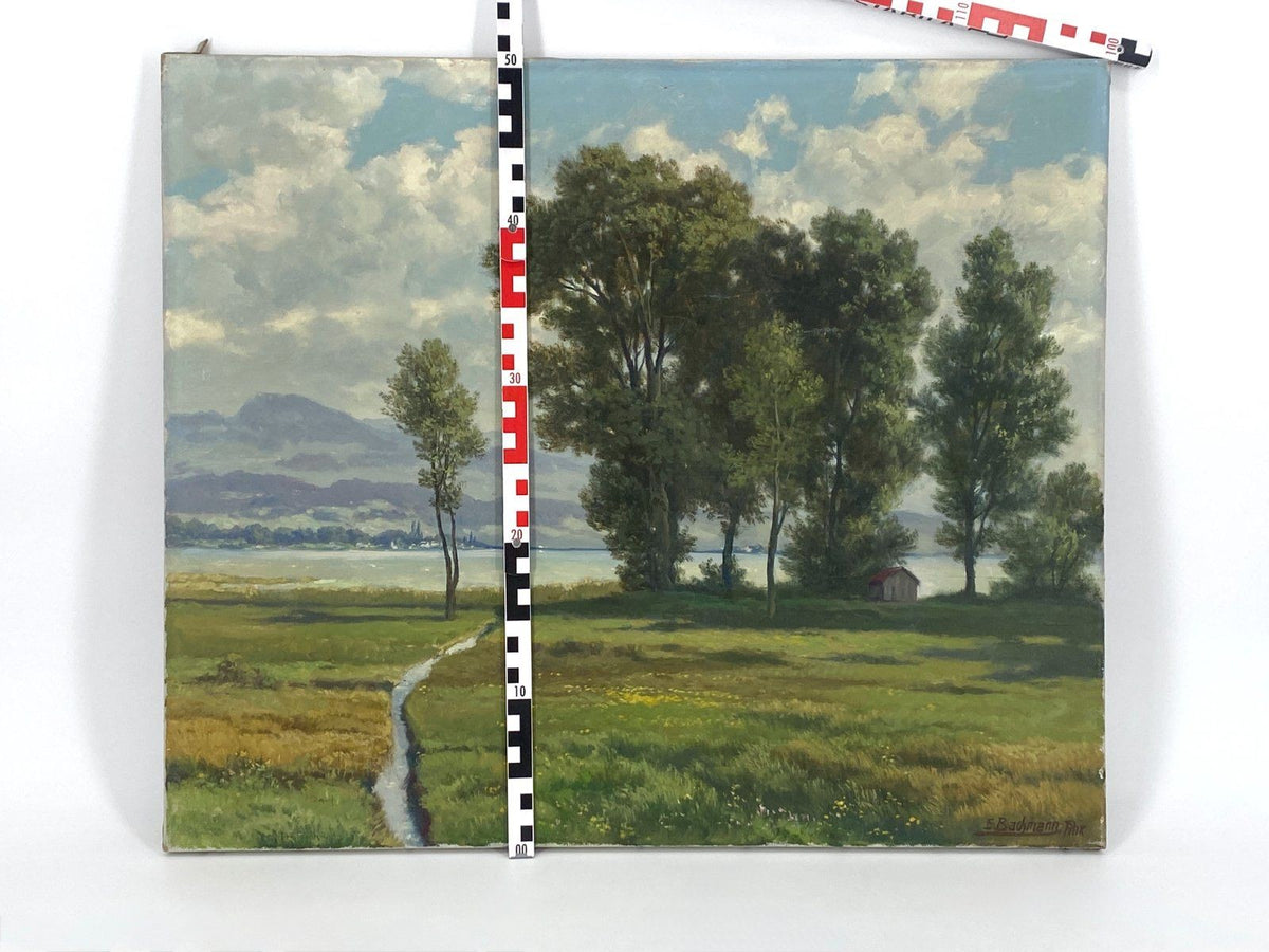 *ÖLGEMÄLDE EDWIN BACHMANN ZÜRICHSEE BEI LACHEN LANDSCHAFT SCHWEIZ