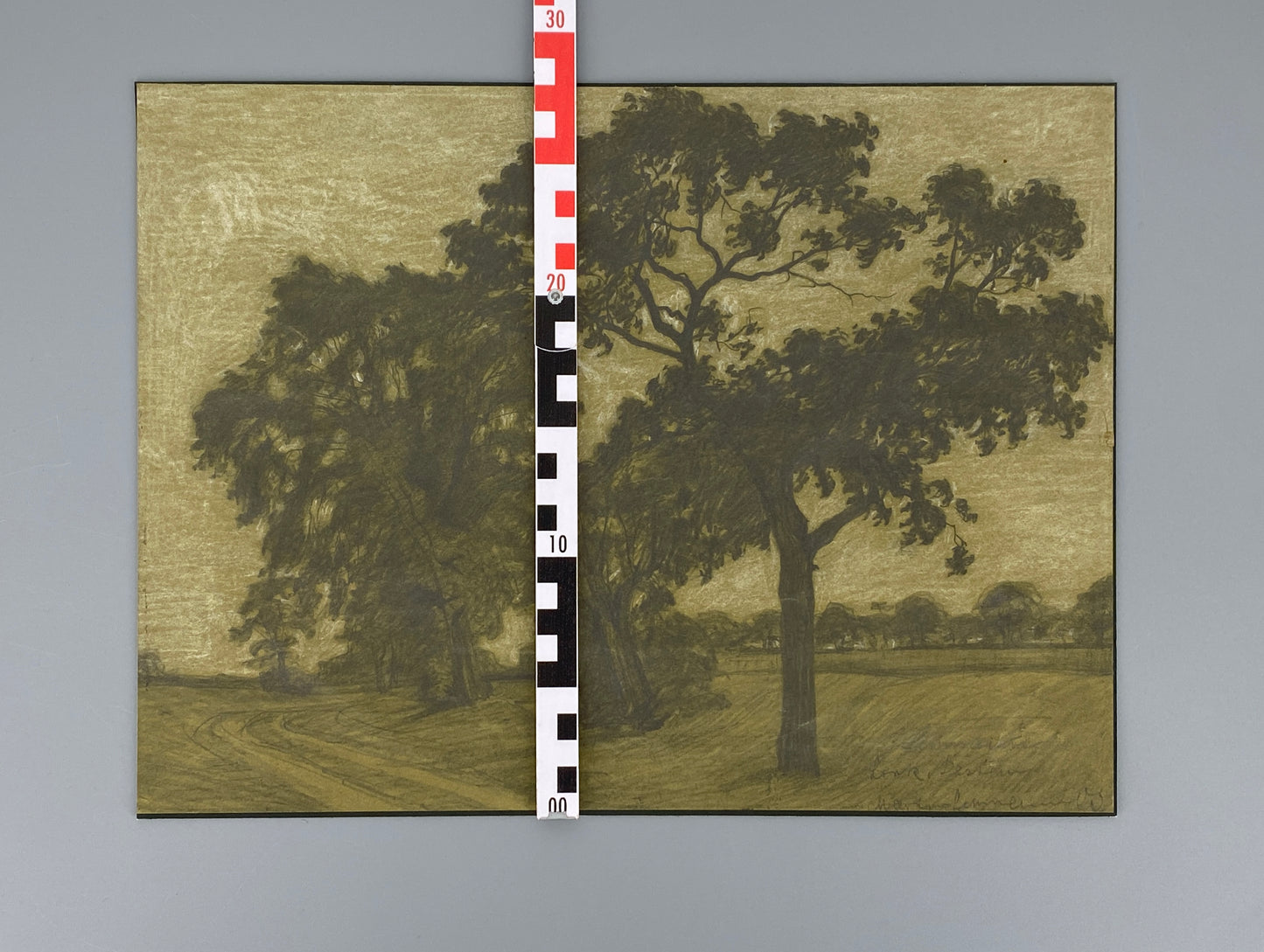 Bleistiftzeichnung "Park, Dessau" von Martin Lehmann (1884–1949/1950) aus dem Jahr 1900