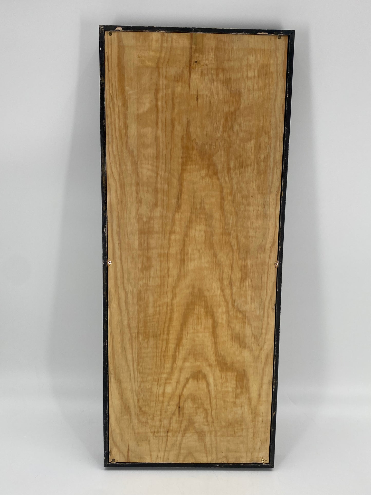 Kunstwerk "Tierkörpermehl" des Künstlers Felix Droese in der Auflage 3/5 signiert, 1997