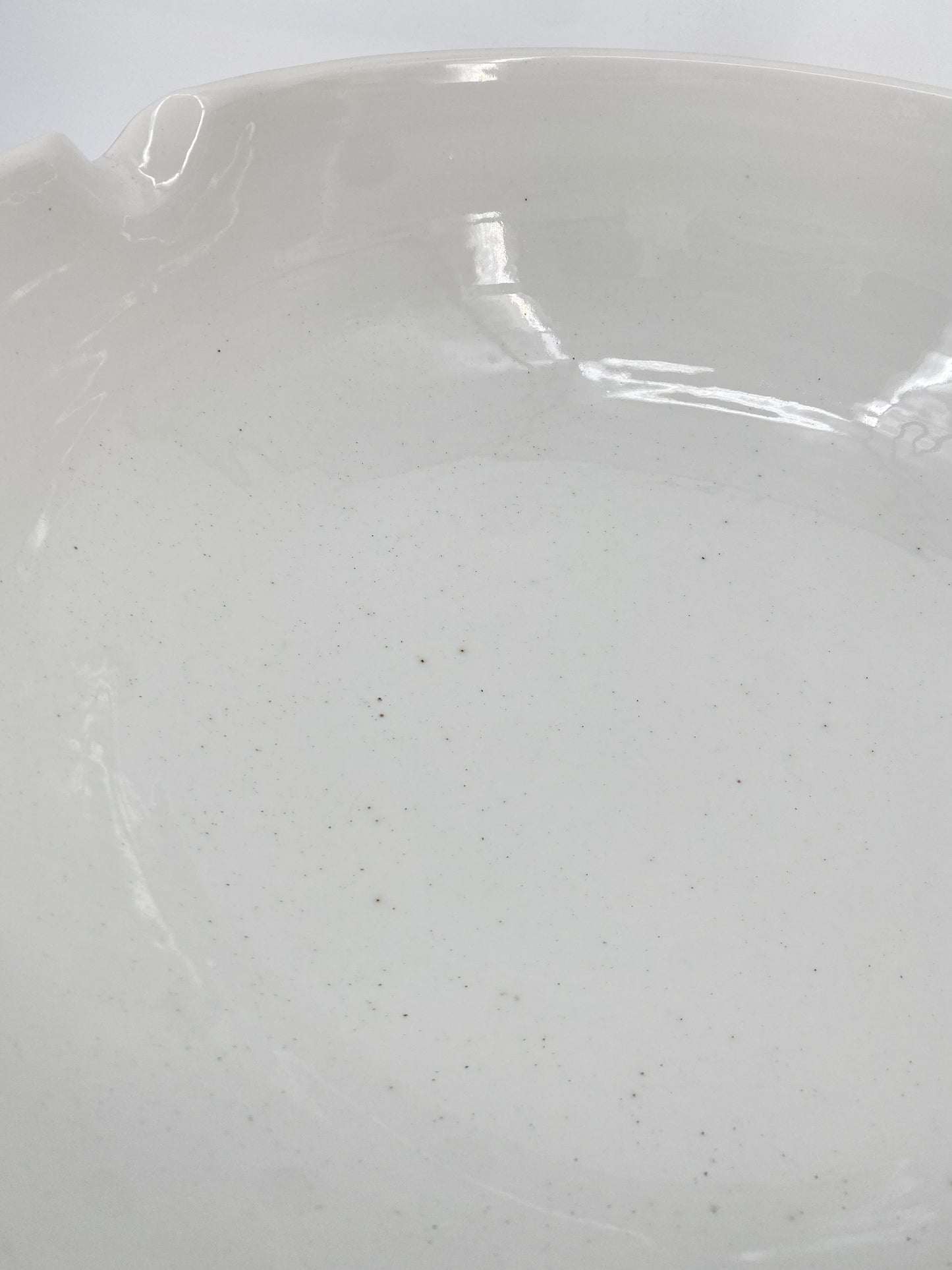 große Labor Schale 109-13 von Haldenwanger Berlin