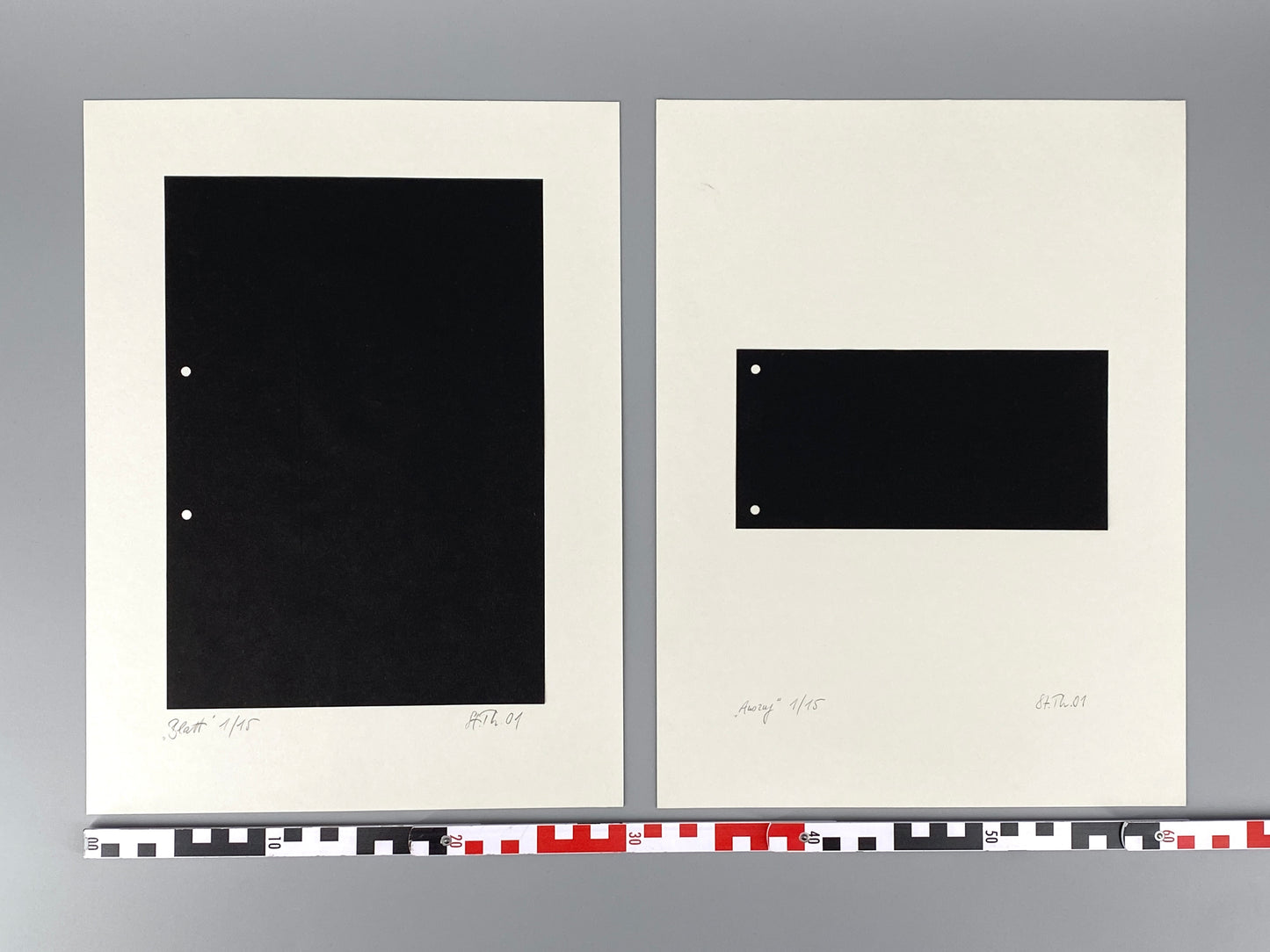 Reihe aus zwei Collagen "Blatt" und "Auszug" von Stefan Thiel (geb. 1965), signiert und nummeriert, 2001