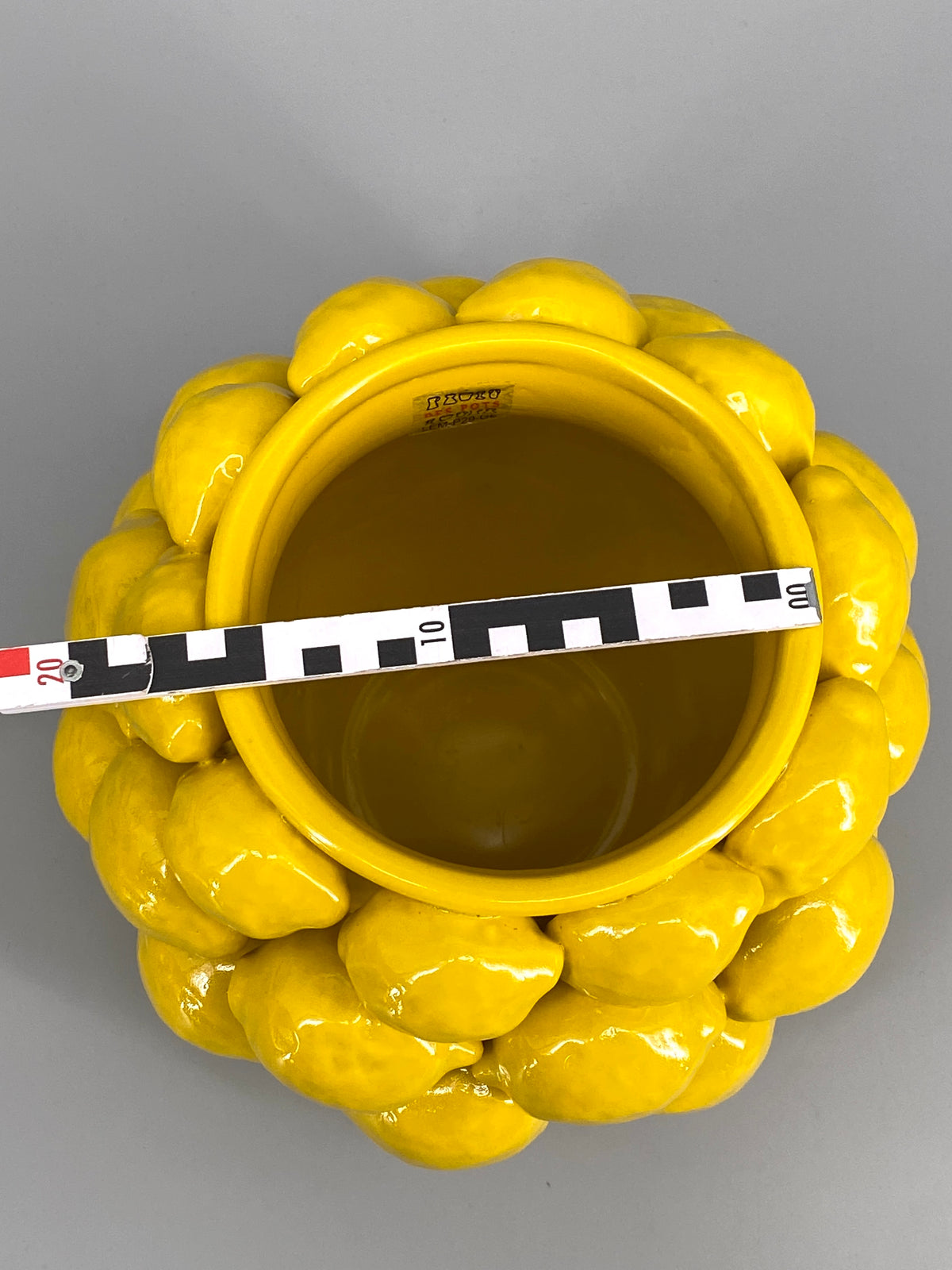 Zitronen Vase / Blumentopf von Des Pots