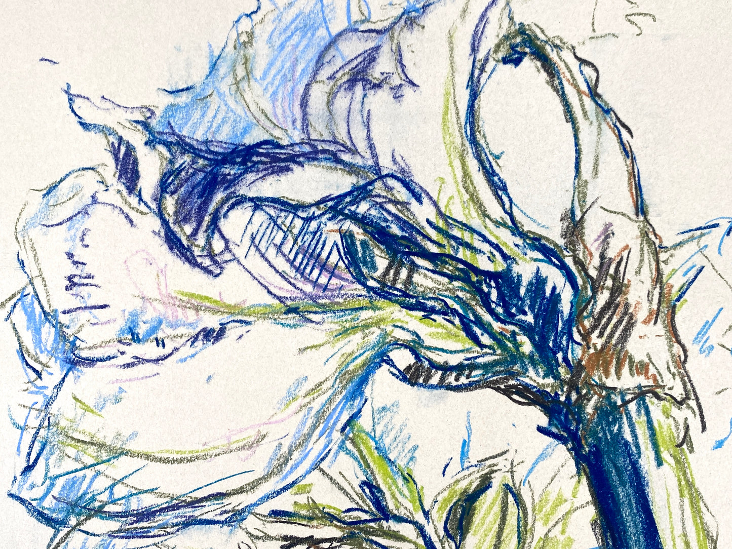 Kreidezeichnung "Weiße Amaryllis" von Roland Ladwig, 1988