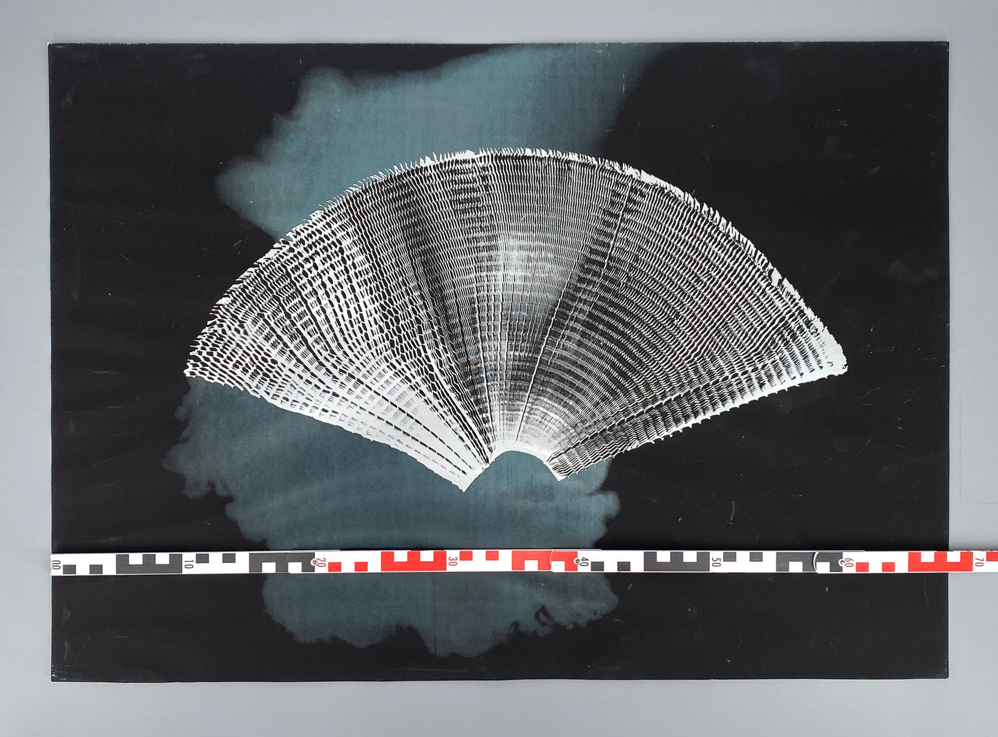 Siebdruck "Flügel und Wolke" von Heinz Mack, 1972