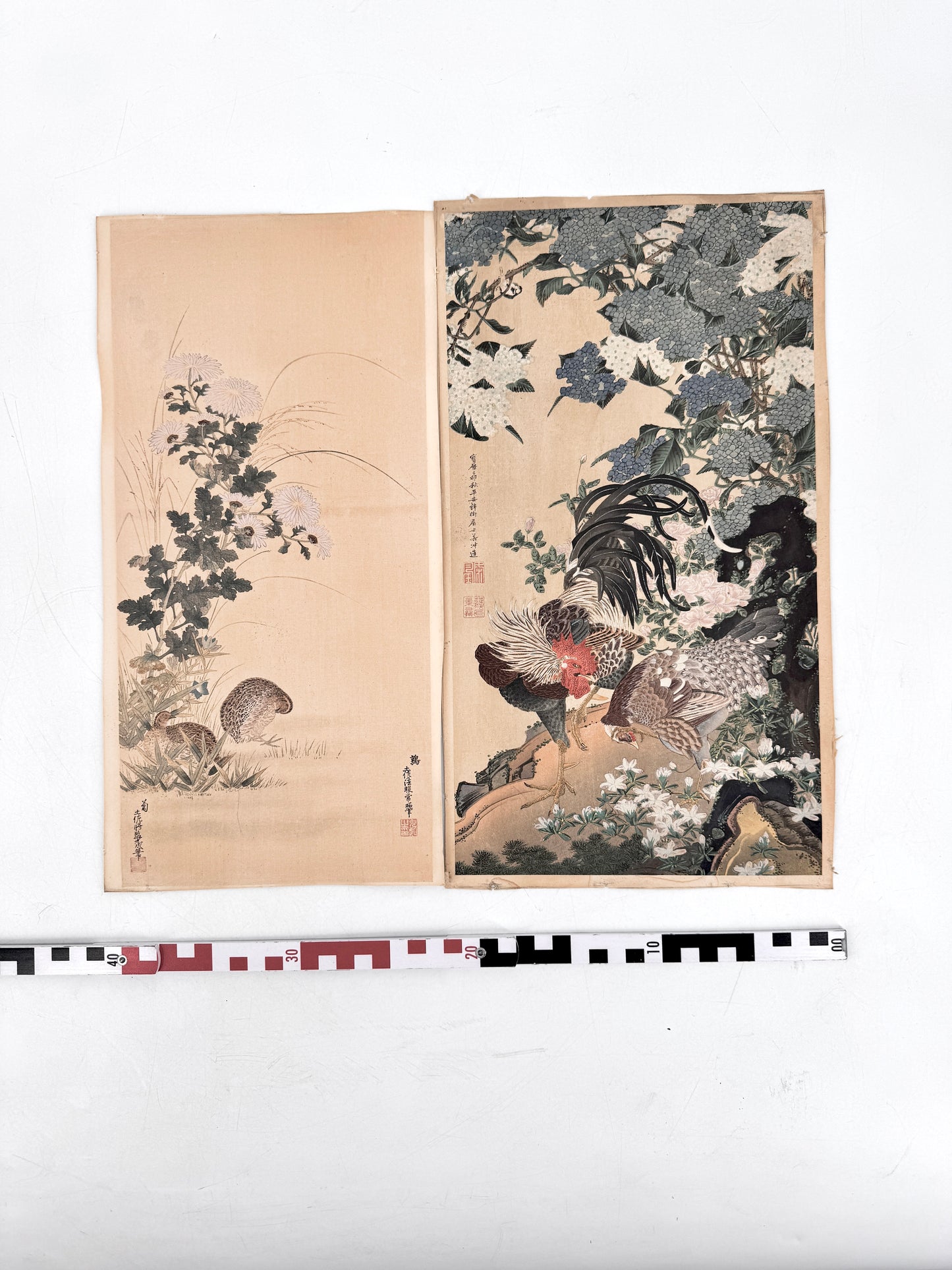 2x Kunstdruck, Chinesisch. Hahn, Henne, Hortensien und Wachteln im Herbstfeld. Jakuchu, Tosa-Schule