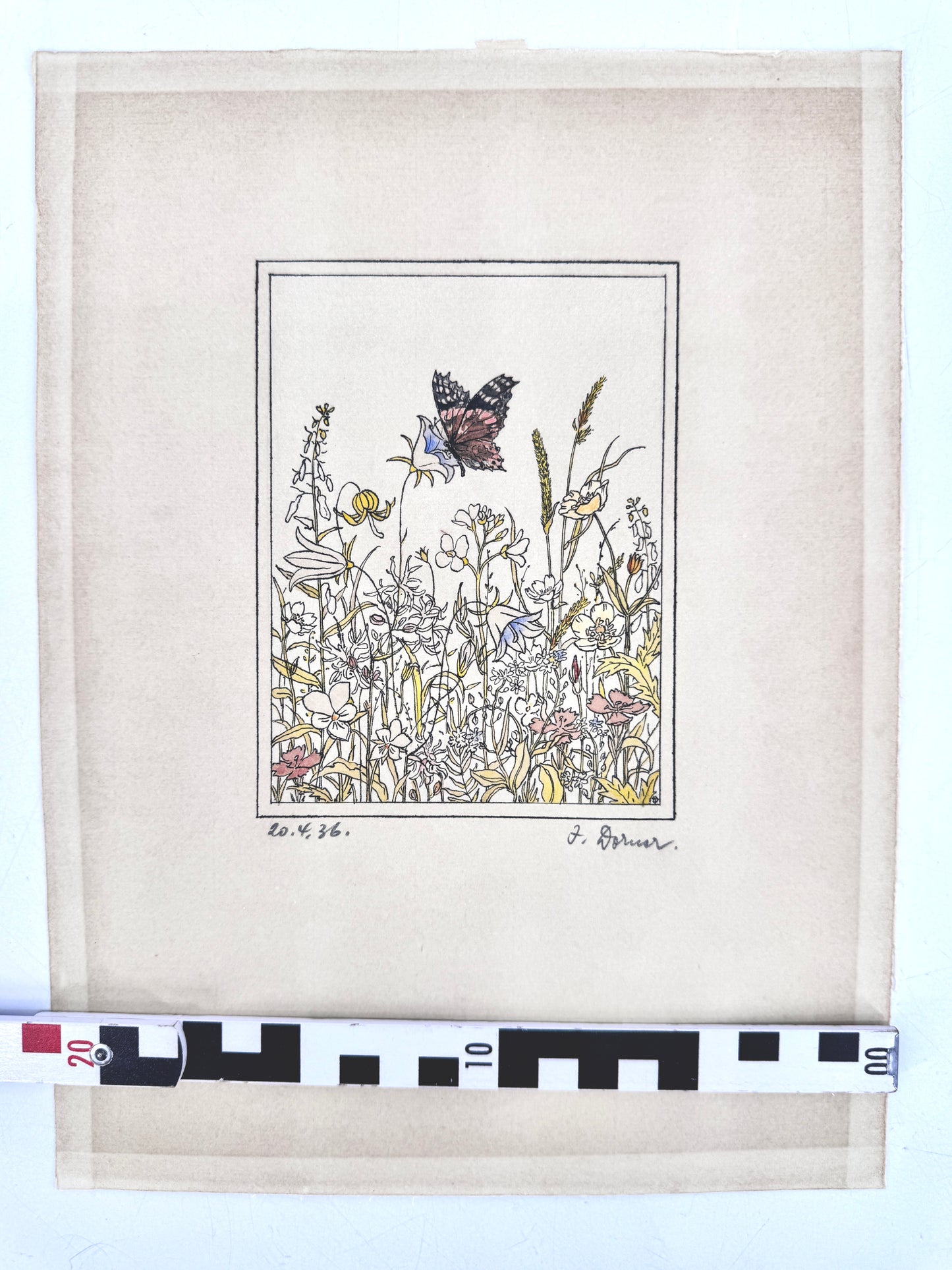 Aquarellierte Zeichnung, Blumenwiese mit Schmetterling. Josef Dorner