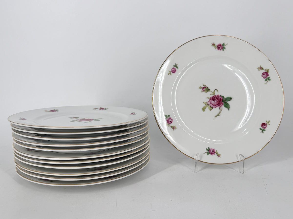 Seltenes Speisegeschirr von Rosenthal Bavaria für die Niederlage Dresden, Deutschland 1919-1922