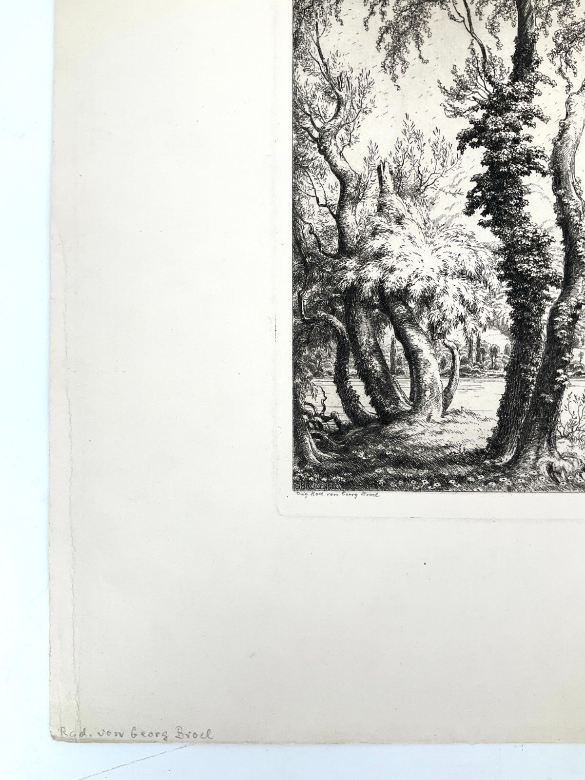 *RADIERUNG GEORG BROEL AM SONNIGEN RHEIN LANDSCHAFT JUGENDSTIL 1920 ORIGINAL