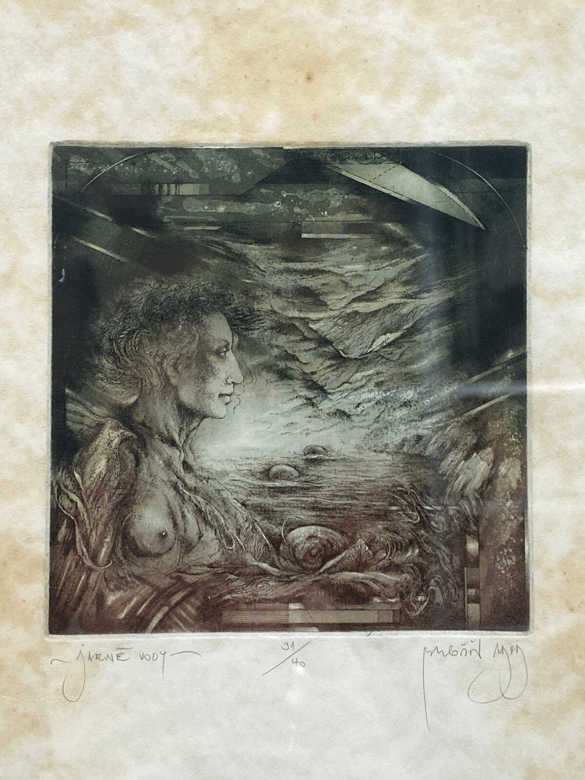 * RADIERUNG DRUCK JARNÉ VODY QUELLWASSER SIGNIERT LIMITIERT BILD VINTAGE