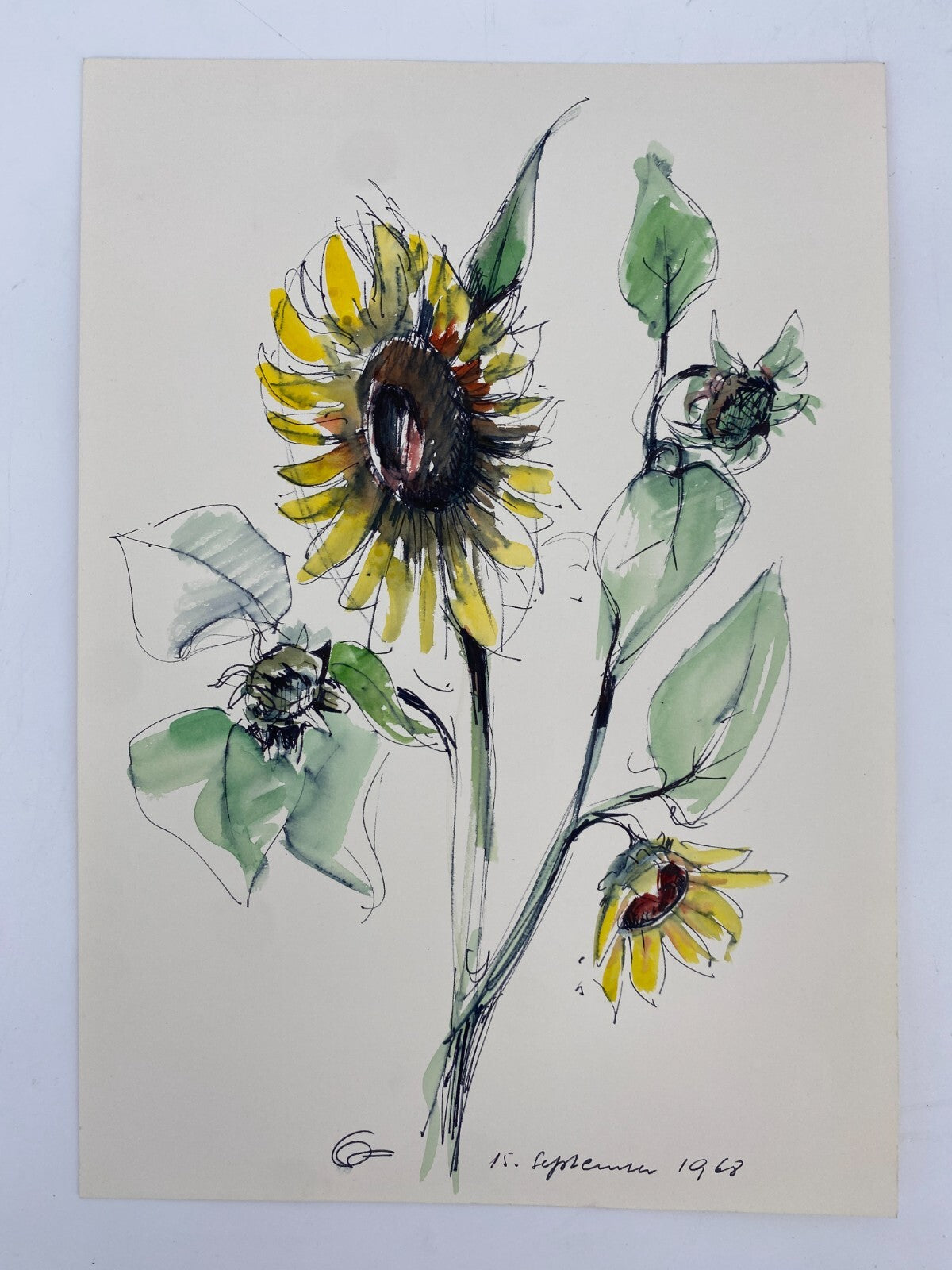 * HANS OTT KOLORIERTE TUSCHEZEICHNUNG HANDSIGNIERT 1968 WIDMUNG SONNENBLUME