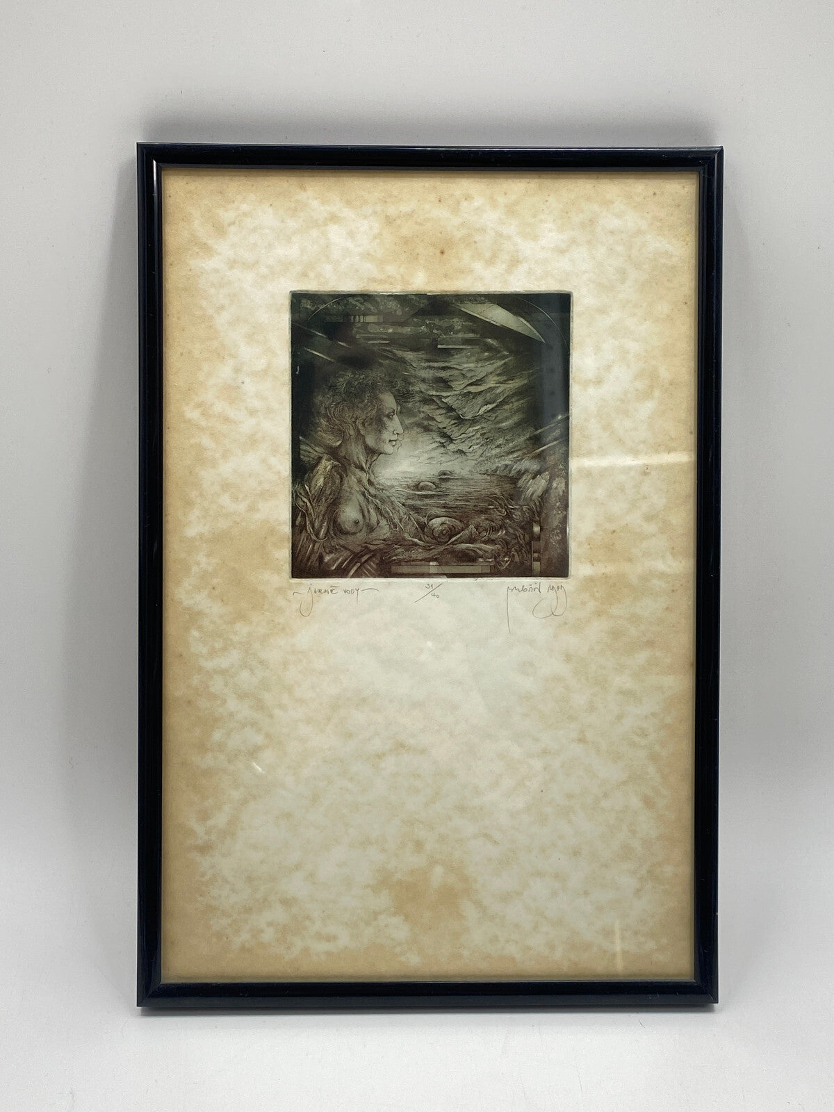 * RADIERUNG DRUCK JARNÉ VODY QUELLWASSER SIGNIERT LIMITIERT BILD VINTAGE