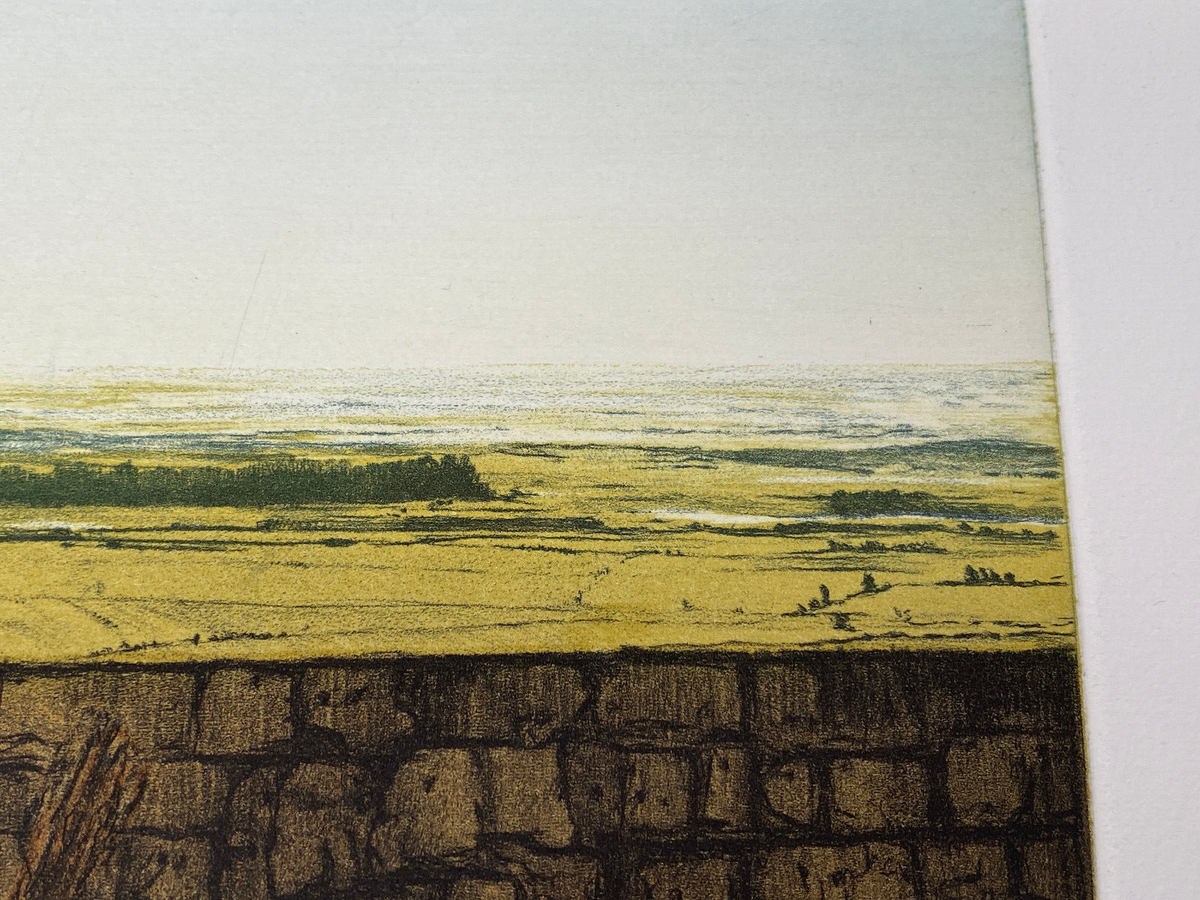 DRUCKGRAFIK FARBRADIERUNG RICHARD A. COX A BRICK TOO MANY 1980 SIGNIERT