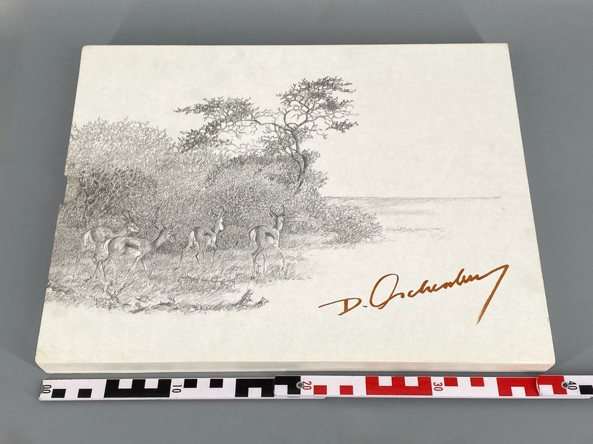 *BUCH DIETER ASCHENBORN NATURZEICHNUNGEN AFRIKA TIERE GAMSBERG