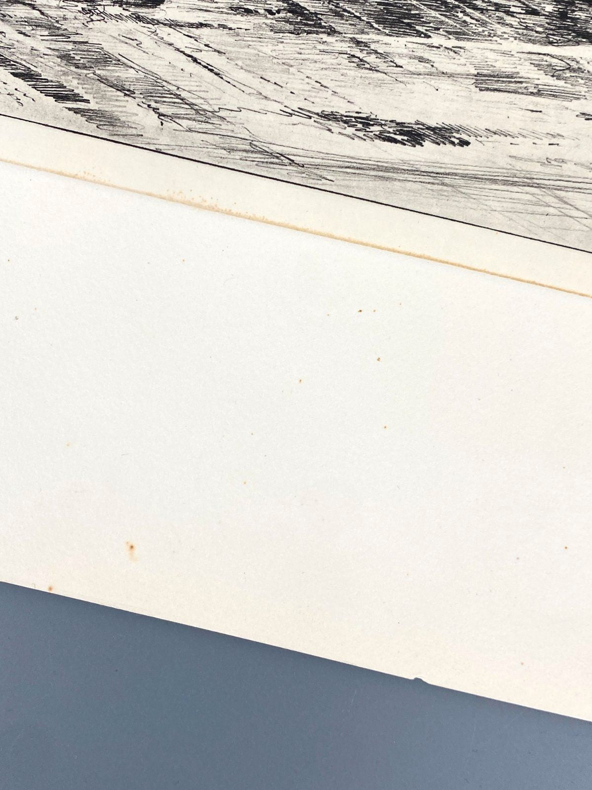 *1v6 HEINZ WEHLISCH LITHOGRAFIE BERLIN AUTOMOBIL RENAULT 1912
