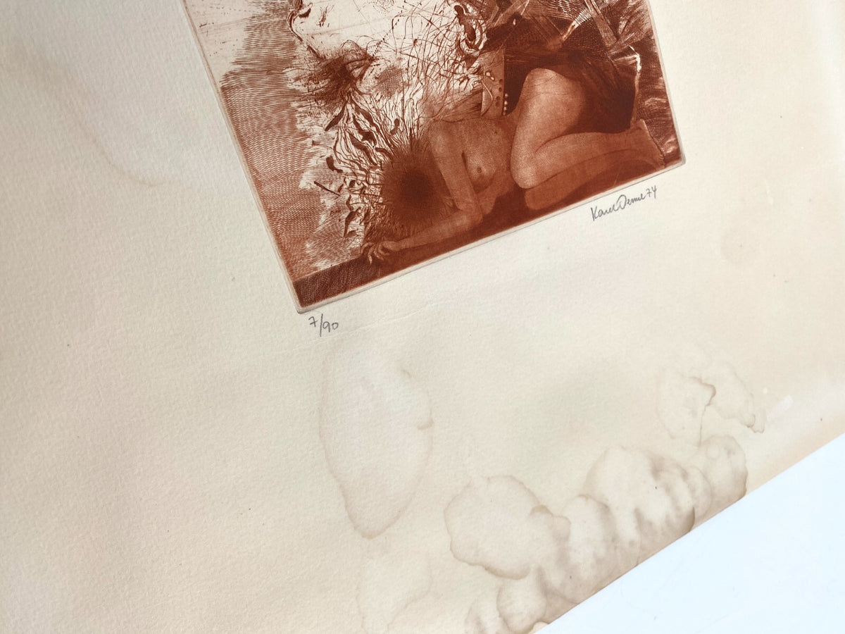 *RADIERUNG KAREL DEMEL LOUISE LABÉ PORTRÄT SIGNIERT 1974 7/90 VINTAGE FARBIG