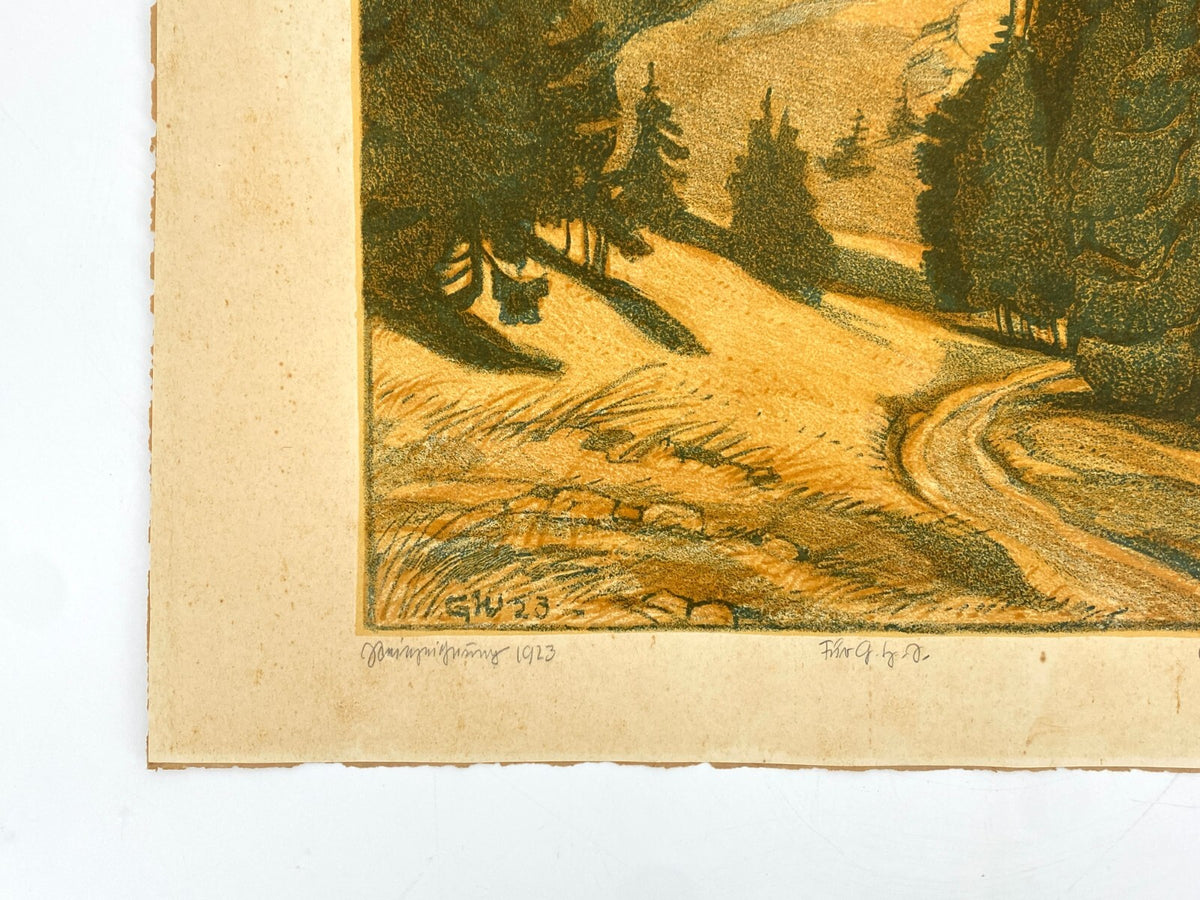 * GRAFIK LITHOGRAFIE GRETE MARGRET WOLFINGER NADELWALD FORSTWEG NADELBAUM 1923
