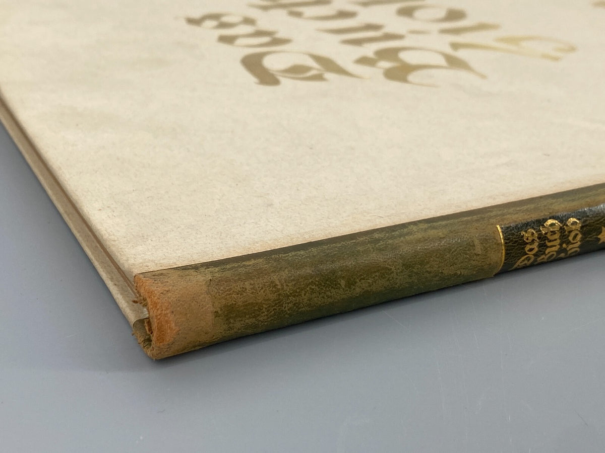 * DAS BUCH HIOB ORIGINAL LITHOGRAPHIEN WILLI JAECKEL 1917 NUMMERIERT 167
