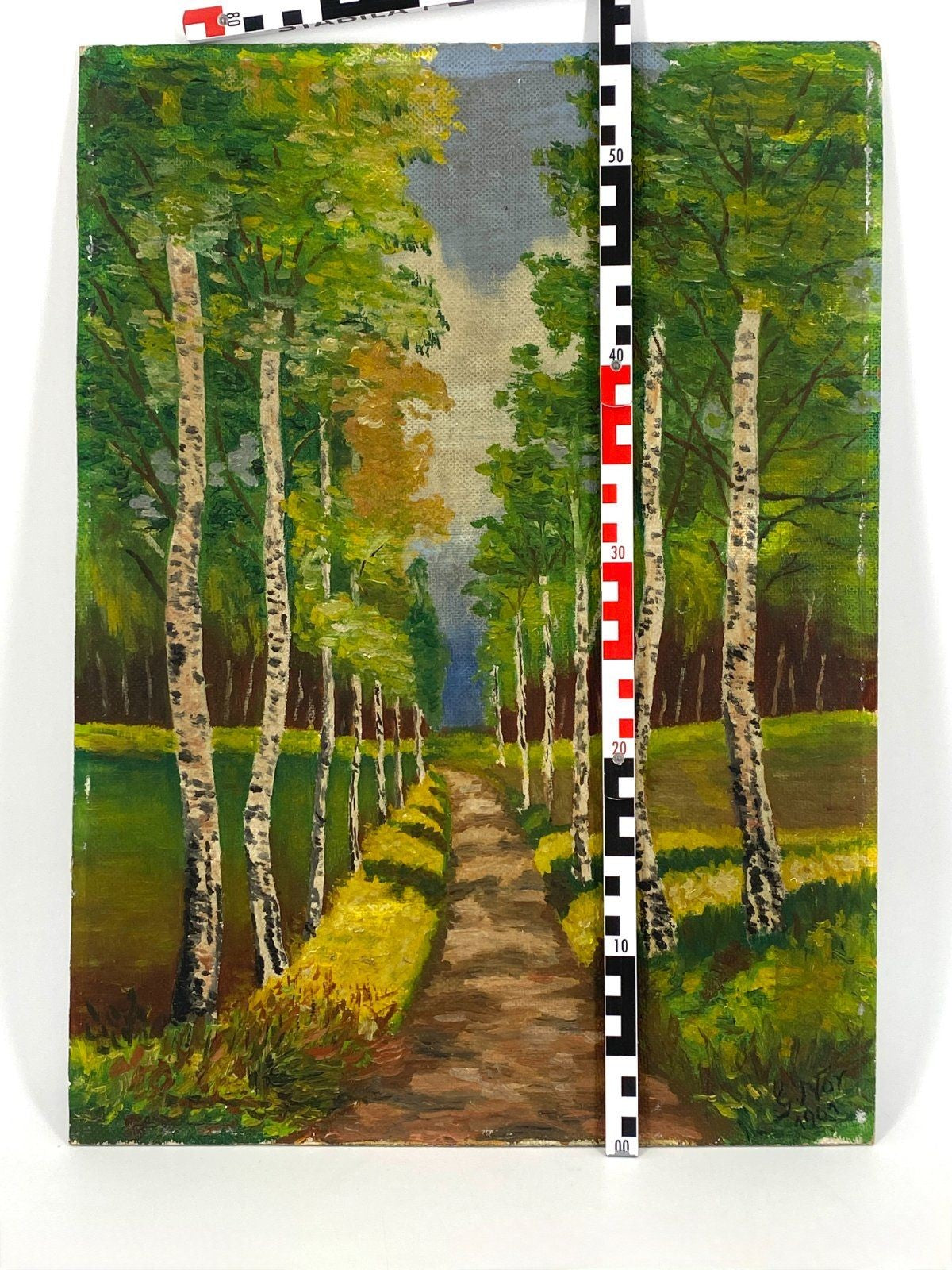 *ÖLGEMÄLDE BIRKENALLEE LANDSCHAFT PARK WALDWEG 1961 G. NOR SIGNIE