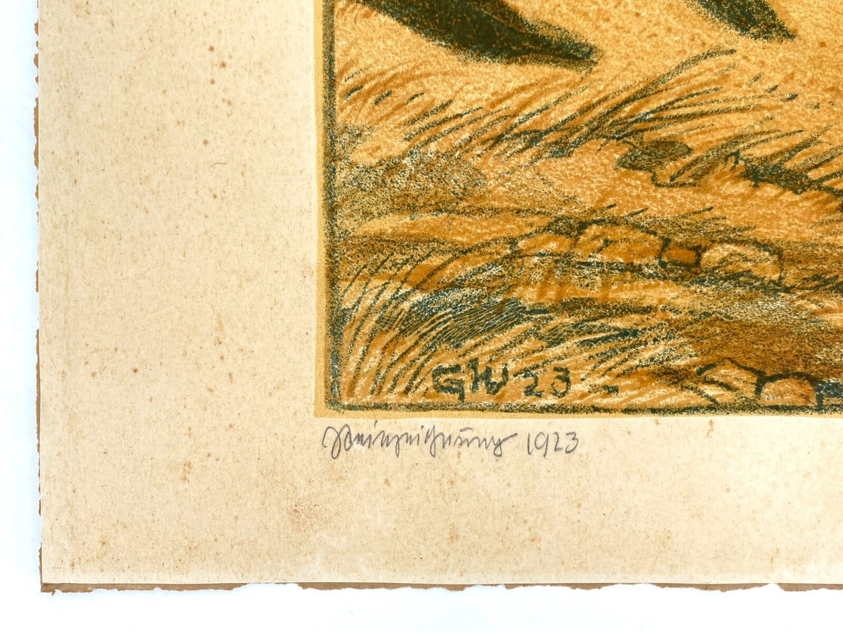 * GRAFIK LITHOGRAFIE GRETE MARGRET WOLFINGER NADELWALD FORSTWEG NADELBAUM 1923