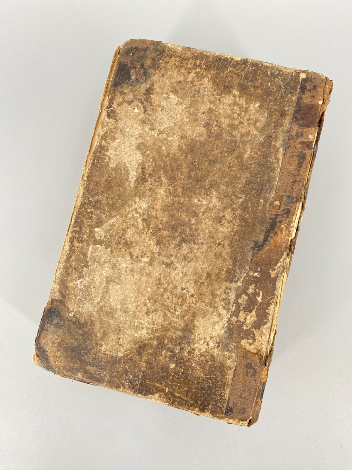 *BUCH LUTHERBIBEL 1847 NÜRNBERG CENTRAL-BIBEL-VEREIN BESITZEREINTRAG MILDENBURG