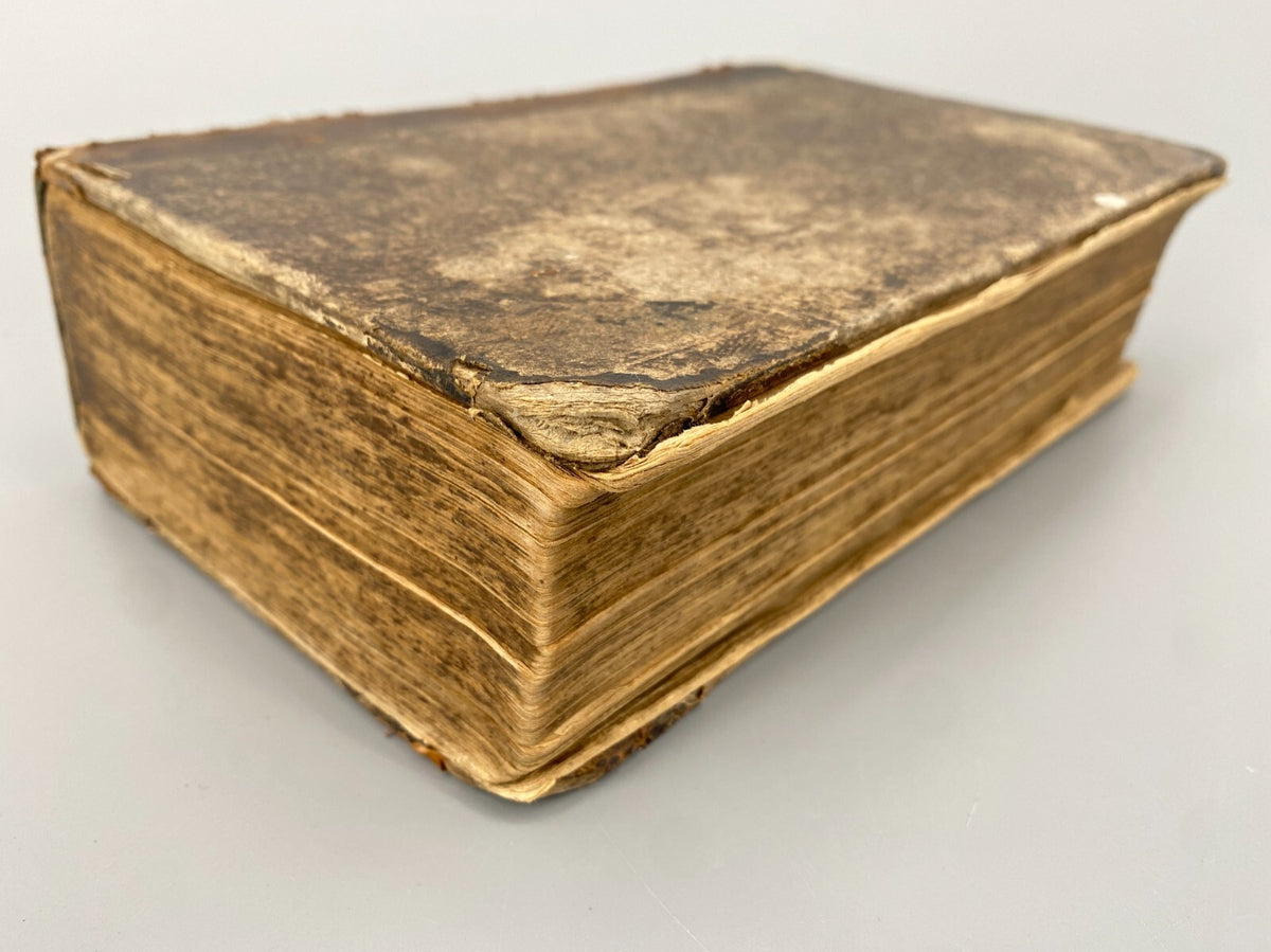 *BUCH LUTHERBIBEL 1847 NÜRNBERG CENTRAL-BIBEL-VEREIN BESITZEREINTRAG MILDENBURG