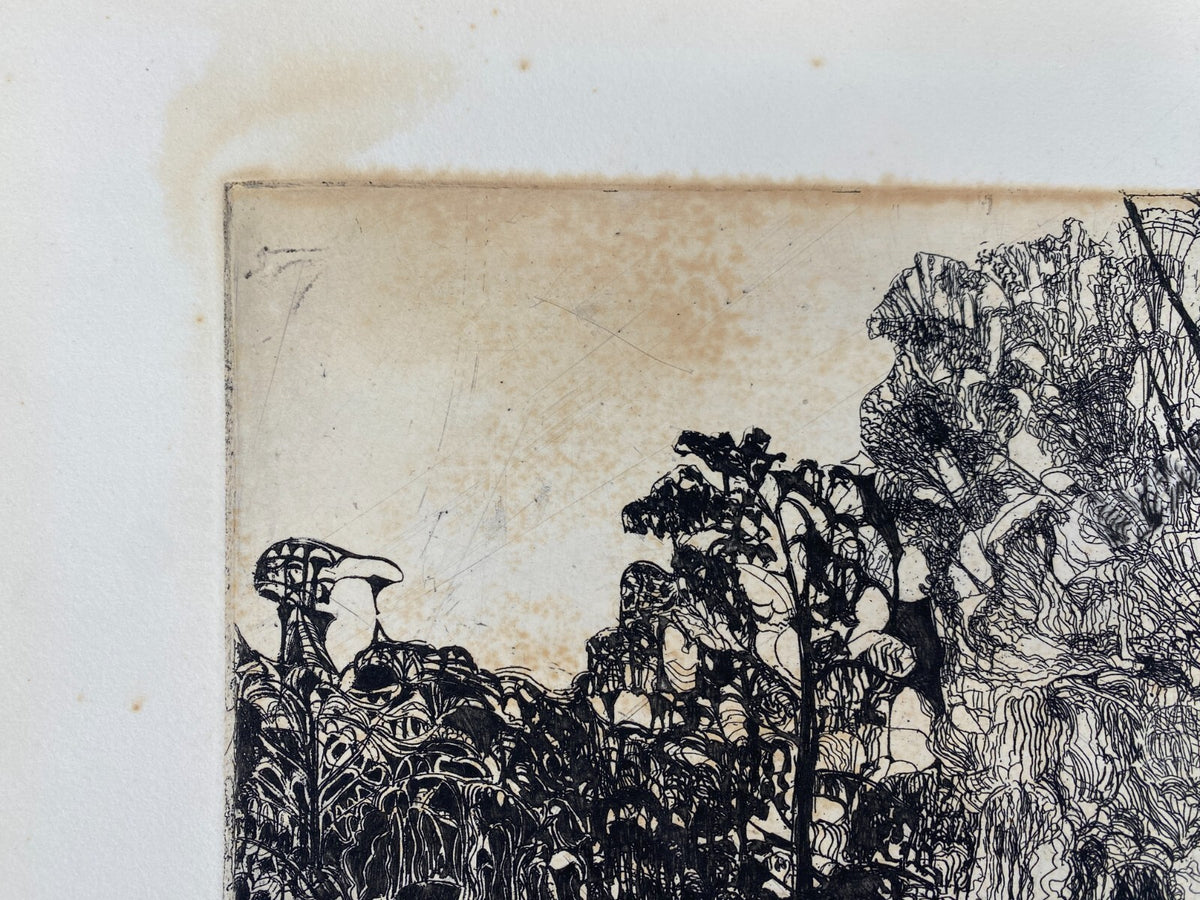 * RADIERUNG HERBERT GRUNWALDT VEGETATION 1963 SIGNIERT SURREALISMUS ORIGINAL