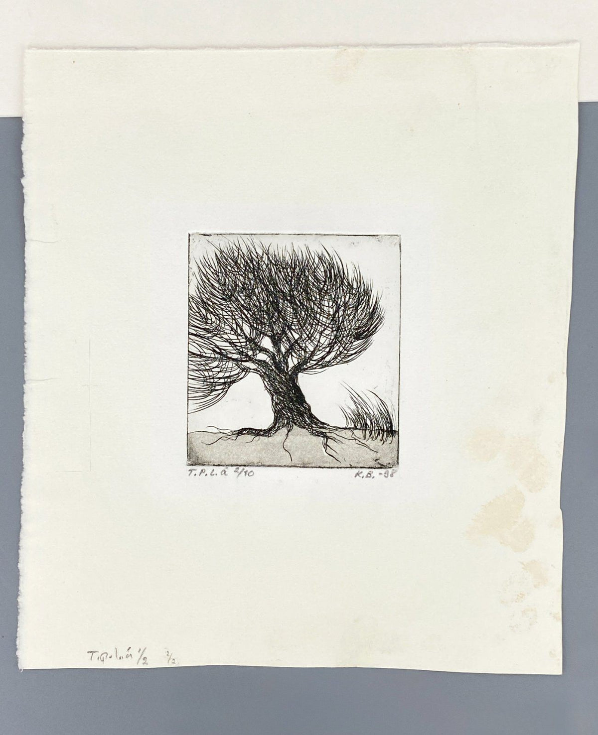 *DRUCKGRAFIK RADIERUNG KIRSTI BREHME BAUM 1998 FINNISCH LIMITIERT