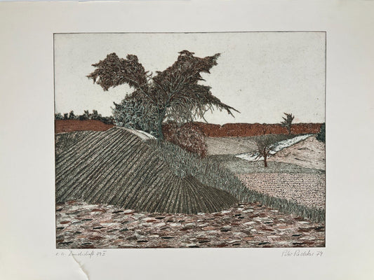 * RADIERUNG PETER REDEKE DRUCK AQUATINTA FARBIG LANDSCHAFT 79 III 1979 KUNSTWERK