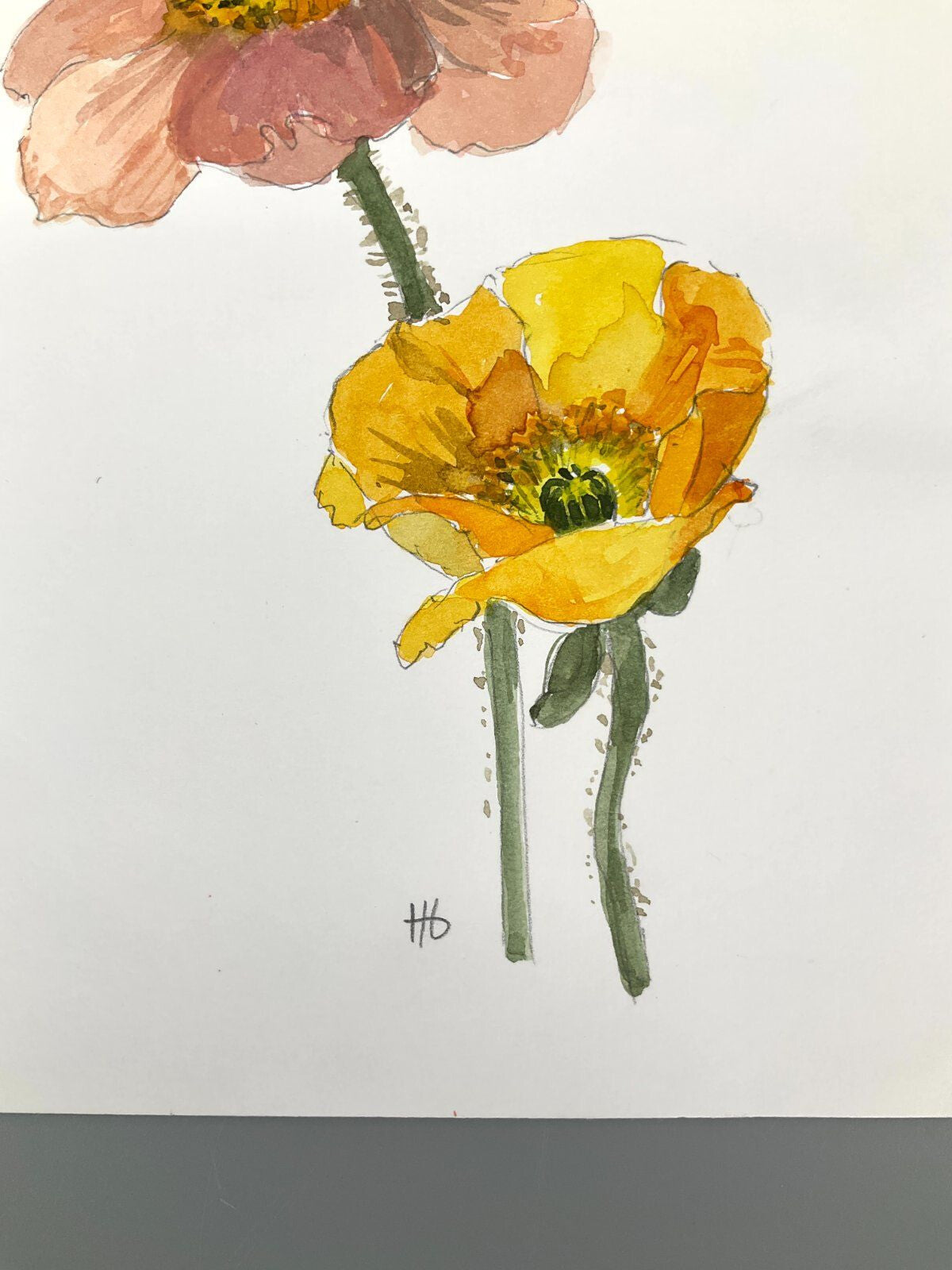 *5x GEMÄLDE AQUARELL HELENA GEESE WYSOCKI KLATSCHMOHNE SONNENBLUM