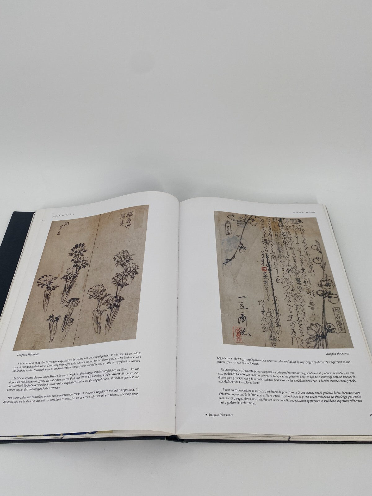 * JAPANISCHE HOLZSCHNITTE CATHERINE DAVID BUCH BILDBAND ISBN 978-2-8099-0216-7