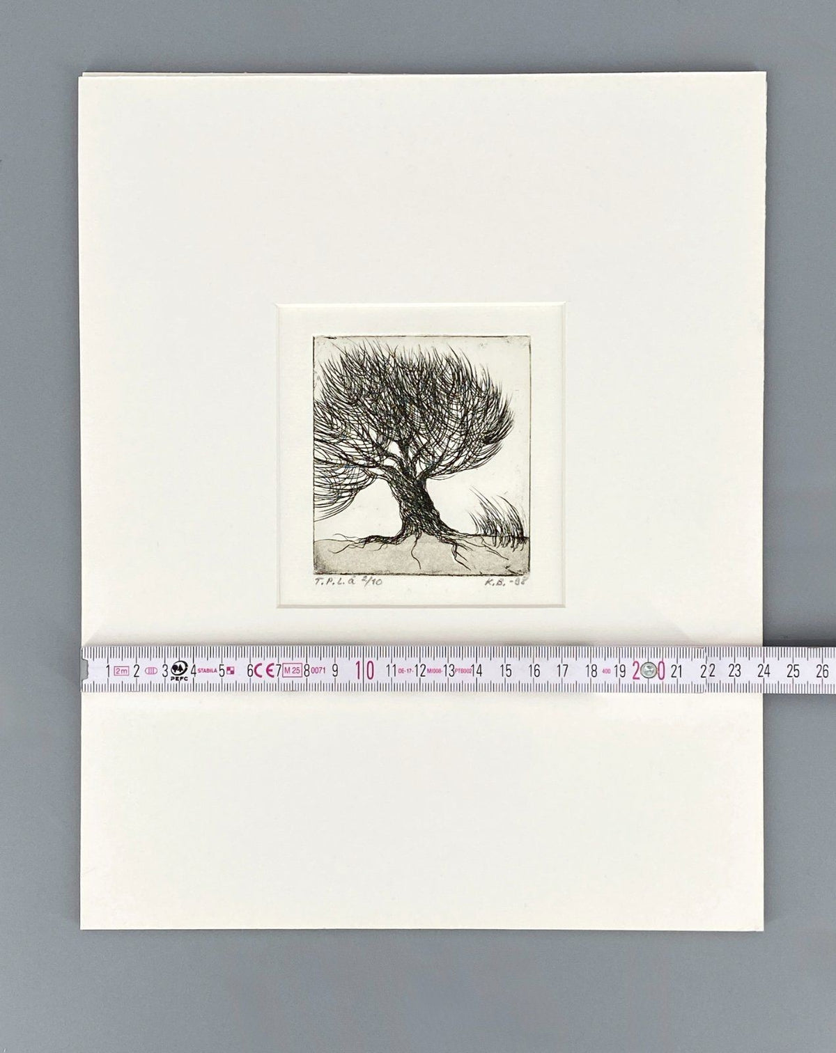 *DRUCKGRAFIK RADIERUNG KIRSTI BREHME BAUM 1998 FINNISCH LIMITIERT