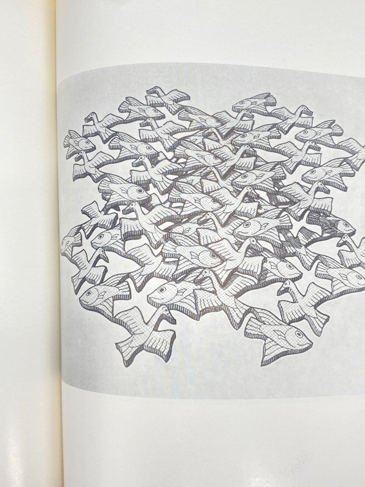 *  AUSSTELLUNGSKATALOG M. C. ESCHER STEDELIJK 1954 LITHOGRAFIE AMSTERDAM