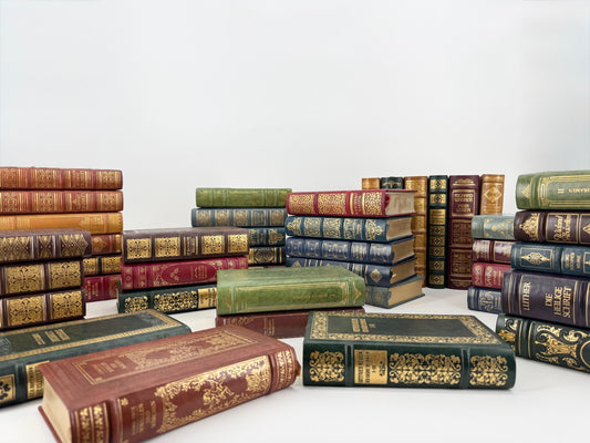 BÜCHER SAMMLUNG EDITION DEUTSCHE BIBLIOTHEK 41x BÜCHER GOETHE SCHILLER LUTHER