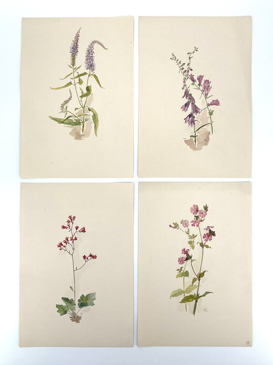 *4x GEMÄLDE AQUARELL HELENA GEESE WYSOCKI BLUMEN PFLANZEN KRÄUTER