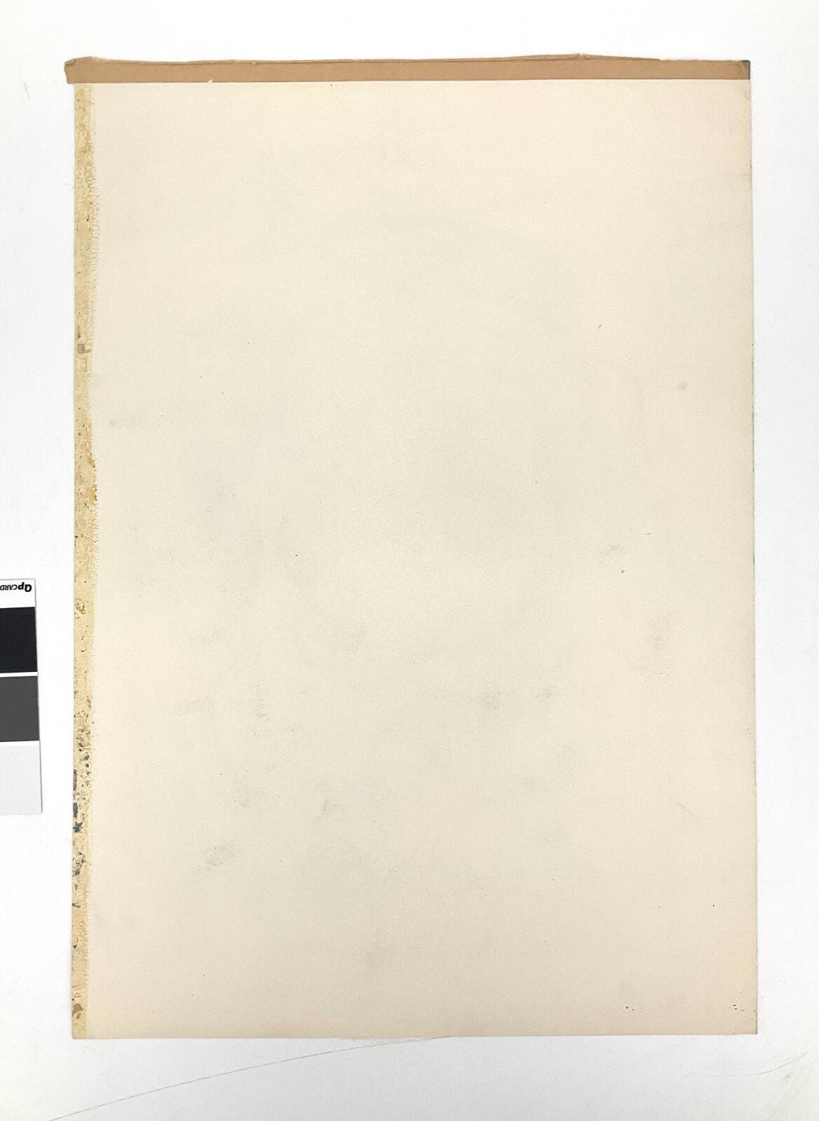 *ZEICHNUNG WALTER KALOT FRAUENPORTÄT FRAU PORTRÄT 1950 GRAFIT SIGNIERT UNIKAT