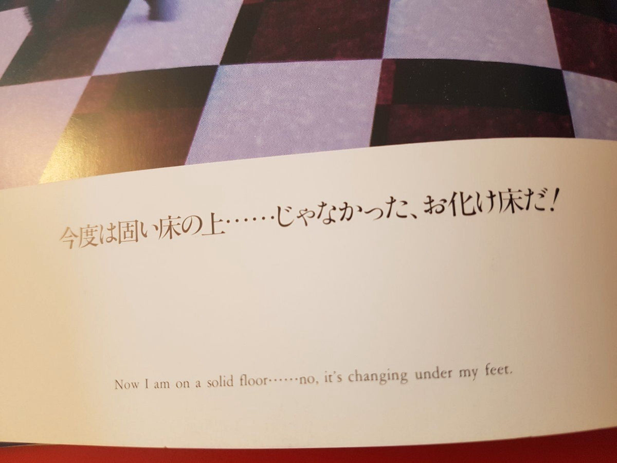 INFINITE ESCHER JAPAN.-ENGL. BUCH MEDIEN KUNST ART エッシャーからの贈り物