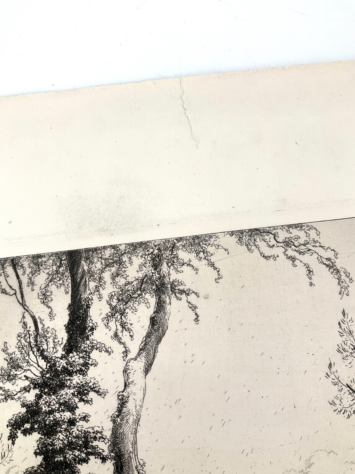 *RADIERUNG GEORG BROEL AM SONNIGEN RHEIN LANDSCHAFT JUGENDSTIL 1920 ORIGINAL