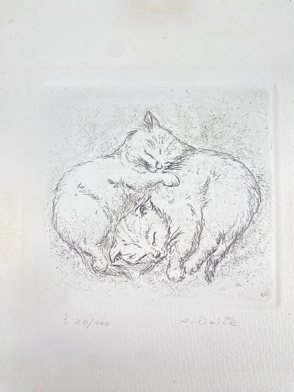 * RADIERUNG KATZEN SCHLAFEND ANNELIESE DÖRCK SIGNIERT KUNST