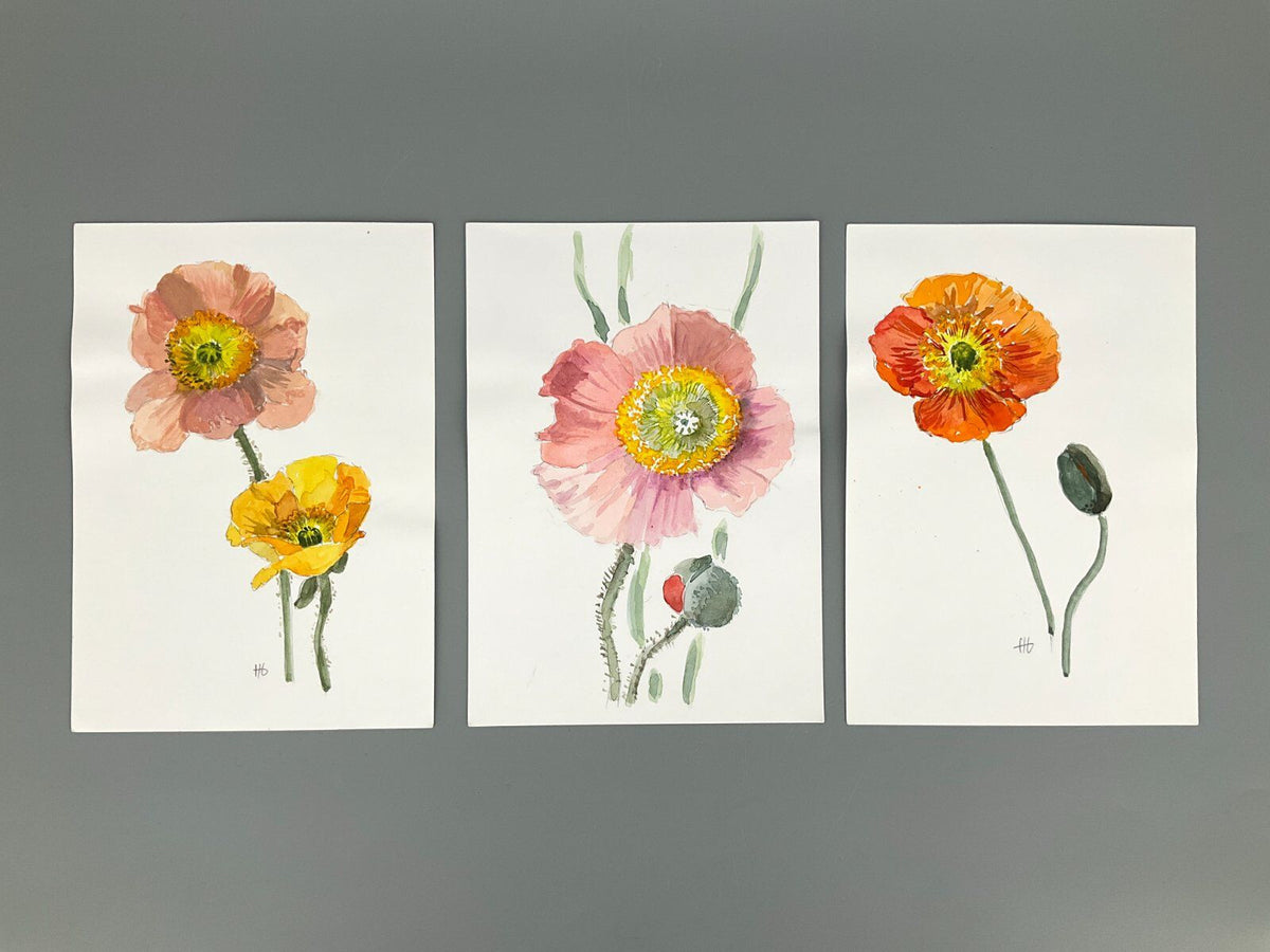 *5x GEMÄLDE AQUARELL HELENA GEESE WYSOCKI KLATSCHMOHNE SONNENBLUM