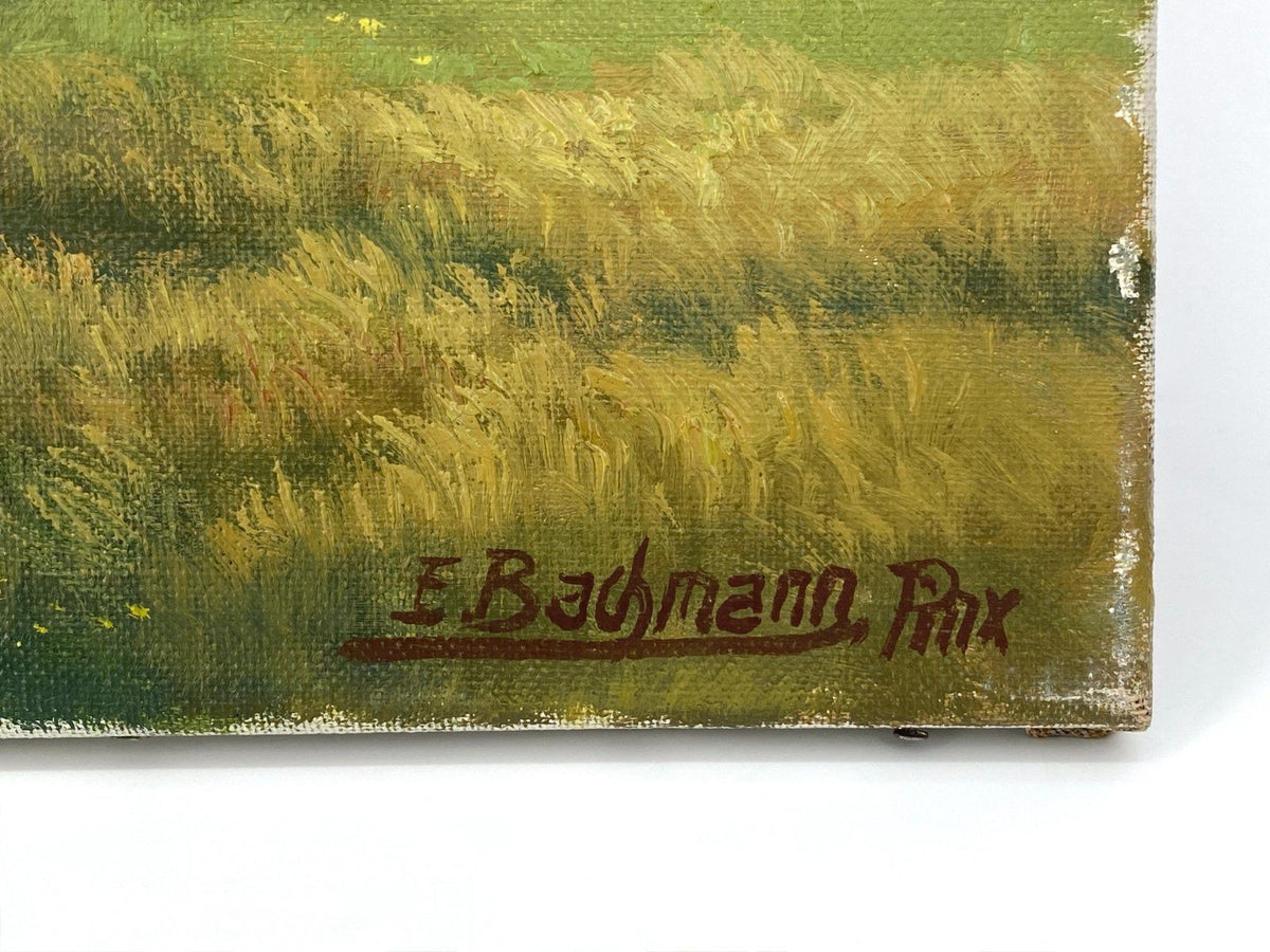 *ÖLGEMÄLDE EDWIN BACHMANN ZÜRICHSEE BEI LACHEN LANDSCHAFT SCHWEIZ