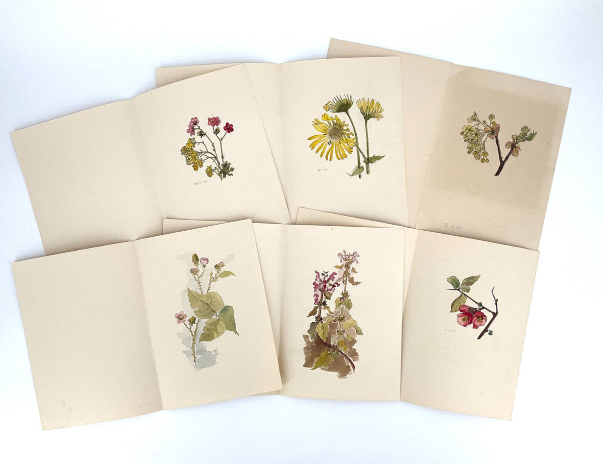*6x GEMÄLDE HELENA GEESE WYSOCKI BLUMEN UNIKAT 1944 FRÜHLING SIGN