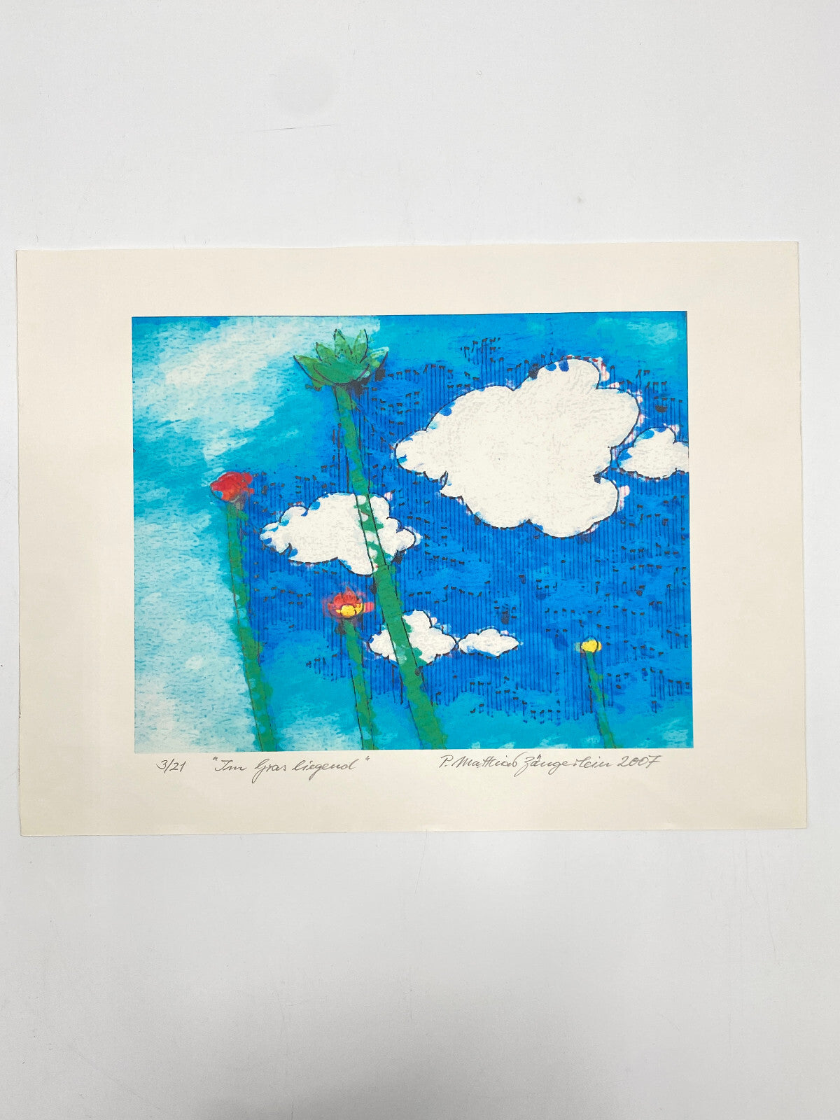 * IM GRAS LIEGEND DRUCK GRAFIK BILD P. MATTHIAS ZÄNGERLEIN 2007 LIMITIERT