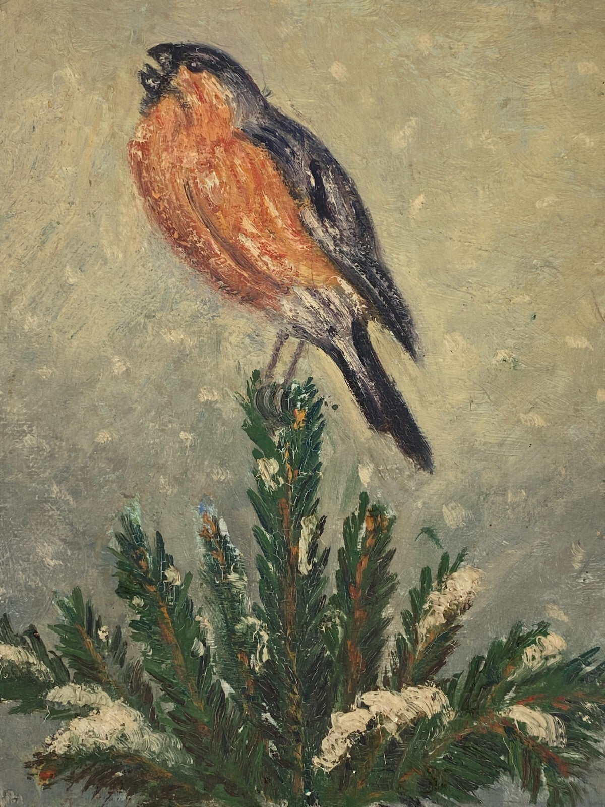 *ÖLGEMÄLDE BUCHFINK SINGVOGEL TANNENAST VOGELPORTRÄT GERAHMT NAIVE MALEREI