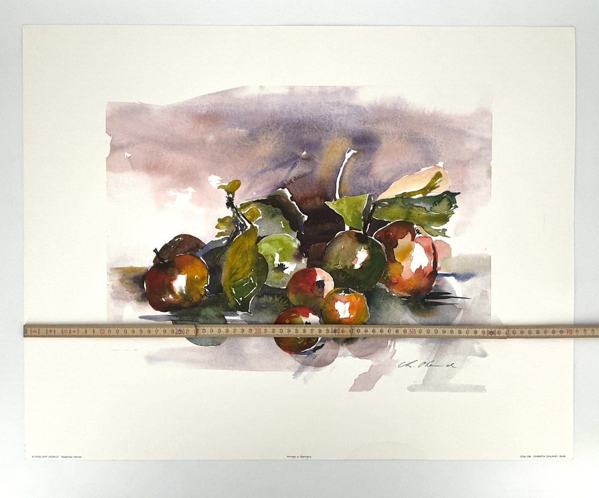 *KUNSTDRUCK ÄPFEL CHRISTA OHLAND STILLEBEN AQUARELL BAYERN MÜNCHEN BÜTTENPAPIER