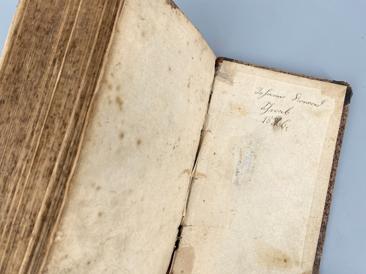 *BUCH LUTHERBIBEL 1847 NÜRNBERG CENTRAL-BIBEL-VEREIN BESITZEREINTRAG MILDENBURG