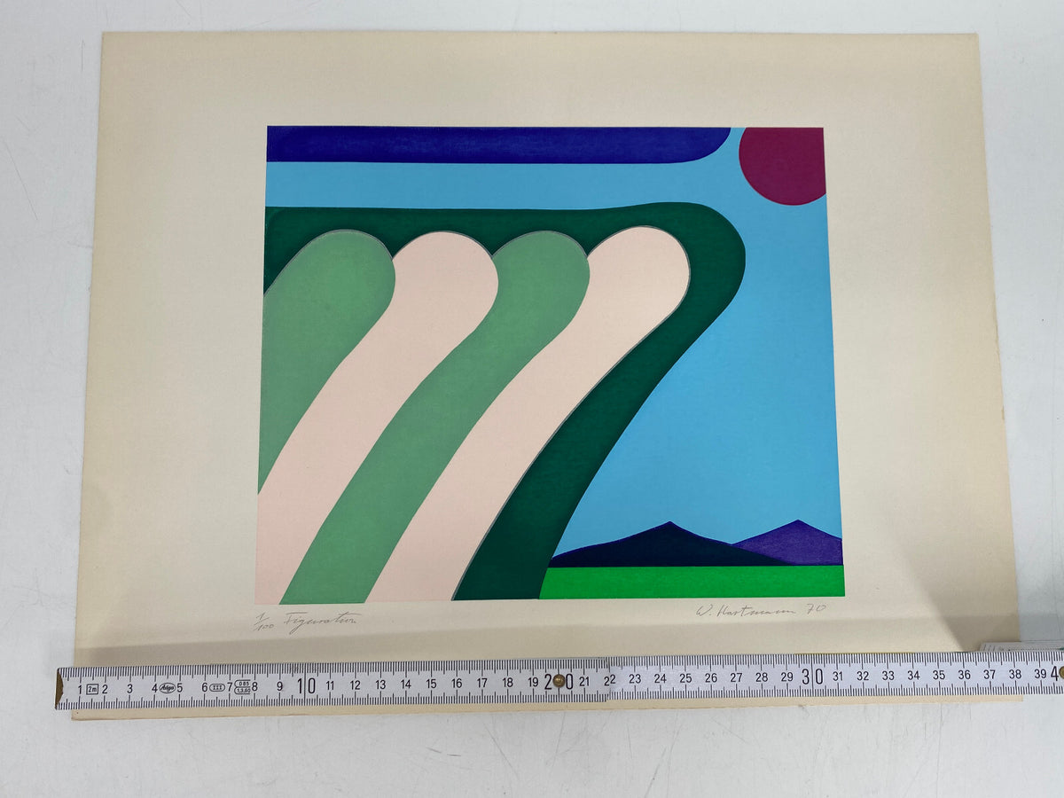 *W.HARTMANN DRUCKGRAFIK FIGURATION SIEBDRUCK LANDSCHAFT ABSTRAKT 1970 1/100 AUFL