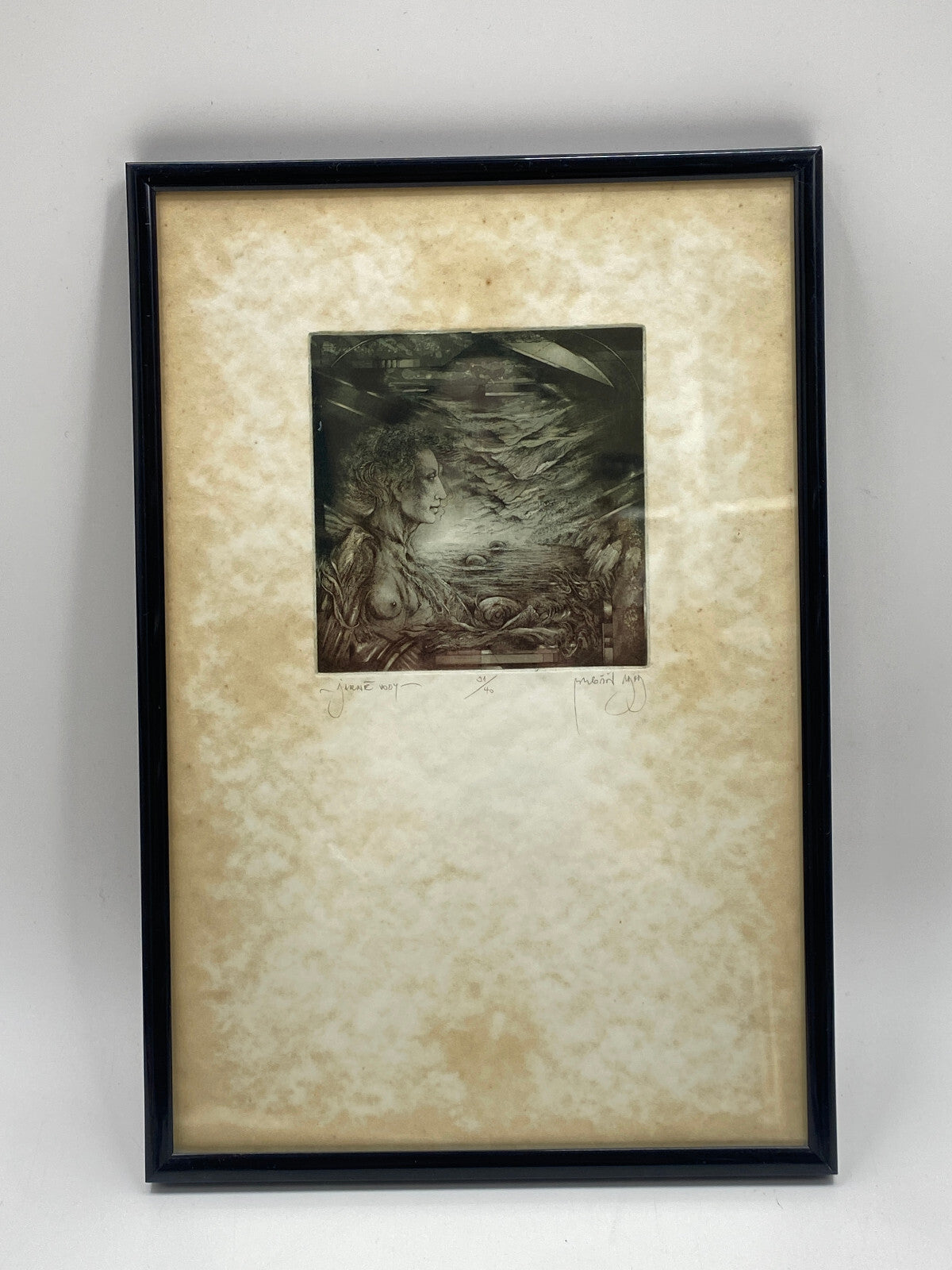 * RADIERUNG DRUCK JARNÉ VODY QUELLWASSER SIGNIERT LIMITIERT BILD VINTAGE