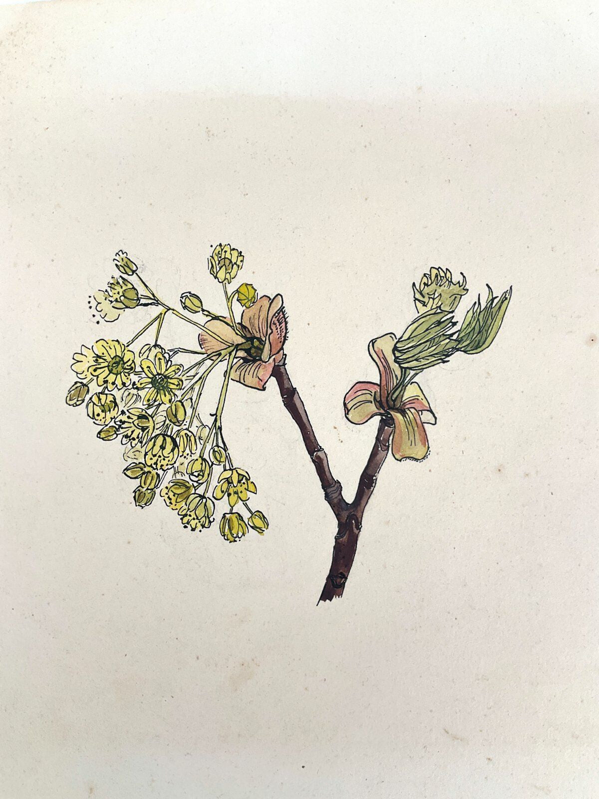 *6x GEMÄLDE HELENA GEESE WYSOCKI BLUMEN UNIKAT 1944 FRÜHLING SIGN