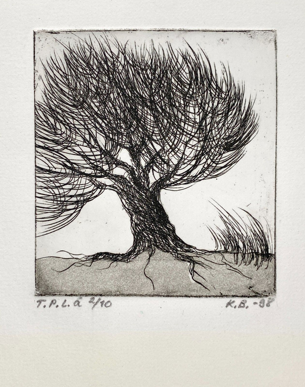 *DRUCKGRAFIK RADIERUNG KIRSTI BREHME BAUM 1998 FINNISCH LIMITIERT
